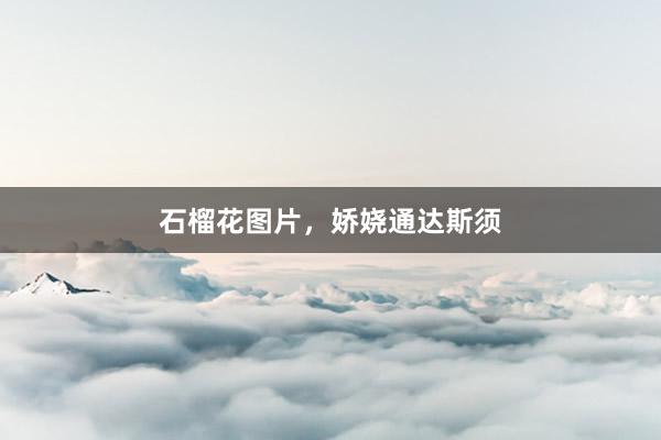 石榴花图片，娇娆通达斯须